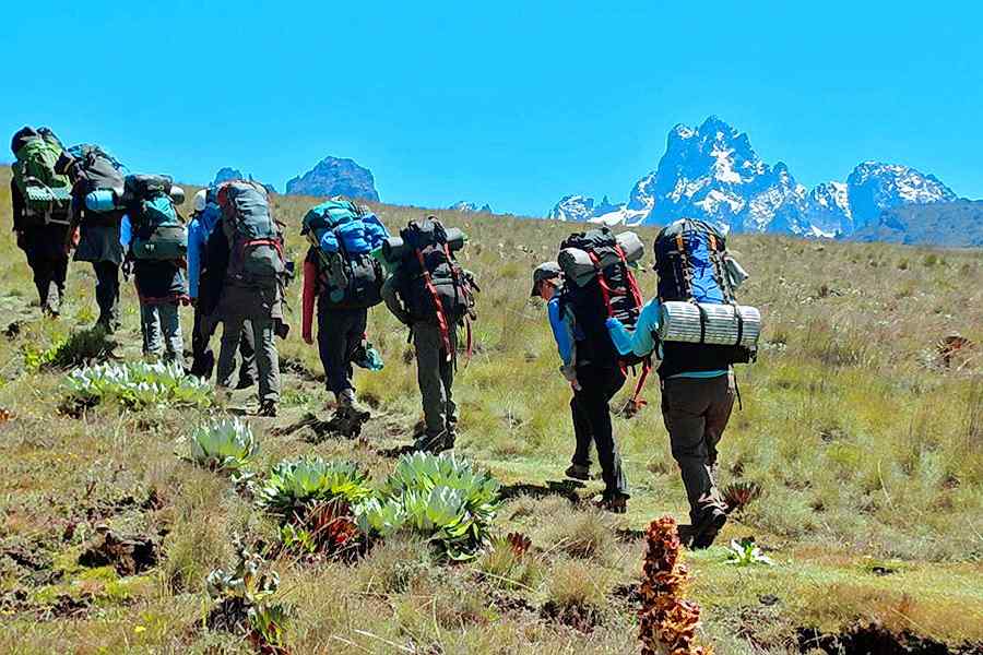 Trip Search Result 28 Climb Mount Kenya 1 | Triptick Travels