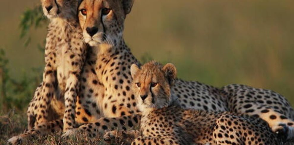 IMG 20251109 WA0041 | Triptick Travels