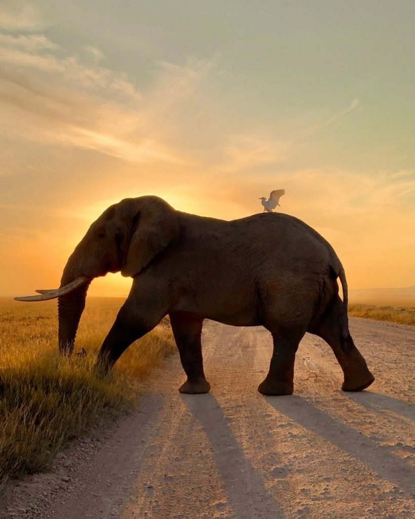 Trip Search Result 28 IMG 20251109 WA0056 | Triptick Travels