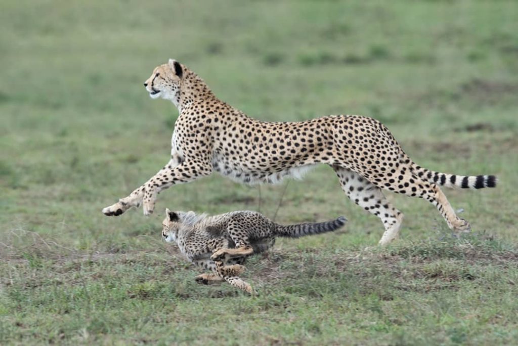 Trip Search Result 27 IMG 20251109 WA0068 | Triptick Travels