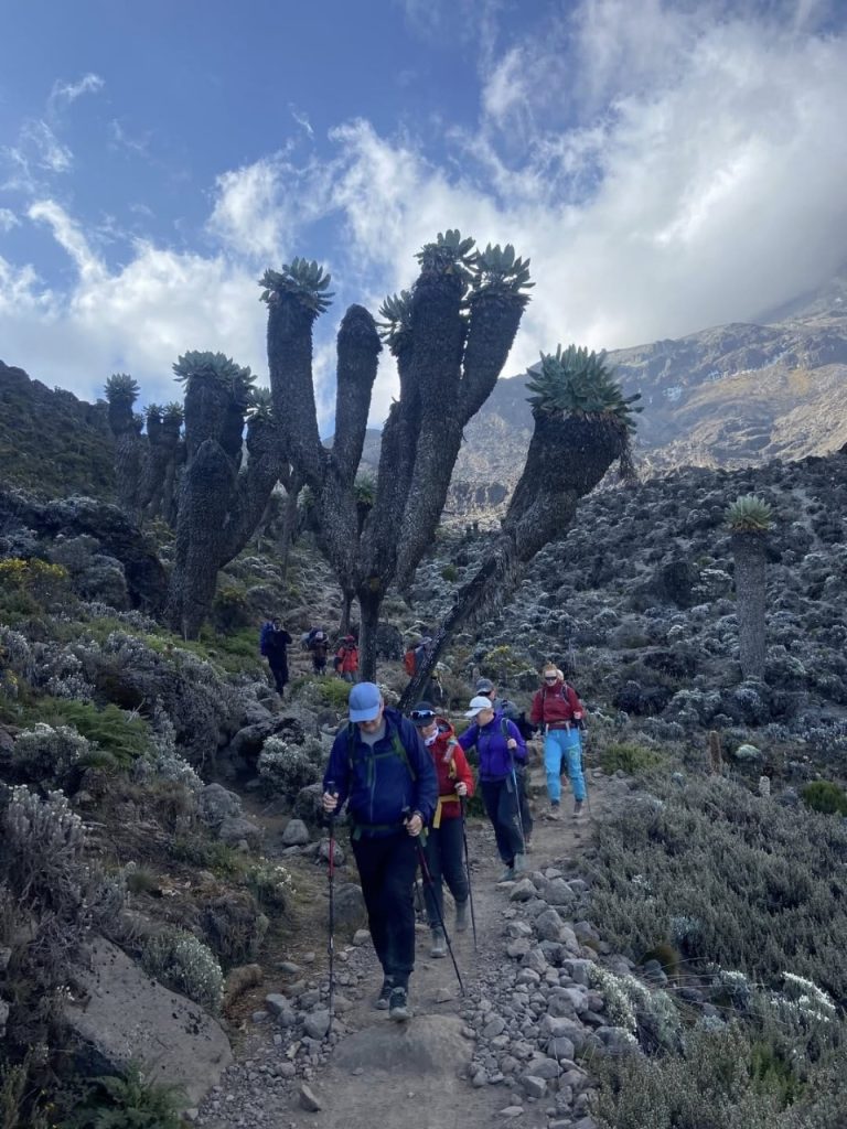 Trip Search Result 29 IMG 20251109 WA0100 | Triptick Travels