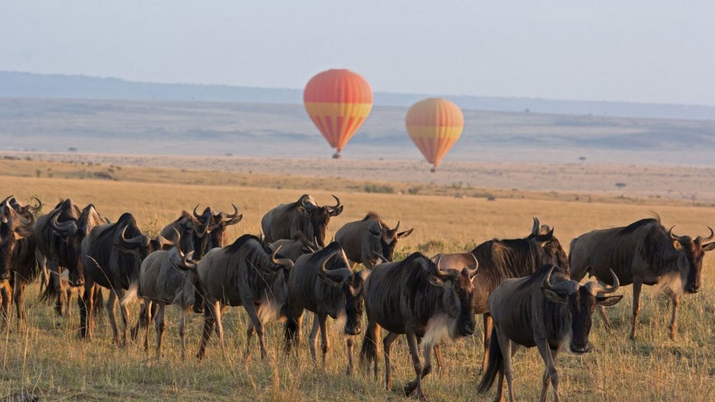 Trip Search Result 4 Serengeti Balloon Safari andBeyond Experience 1 | Triptick Travels