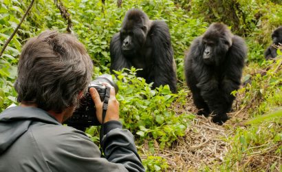 africa day 16 | Triptick Travels