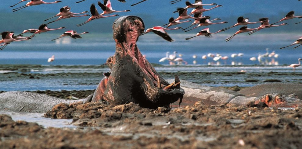 kkkkkkk | Triptick Travels