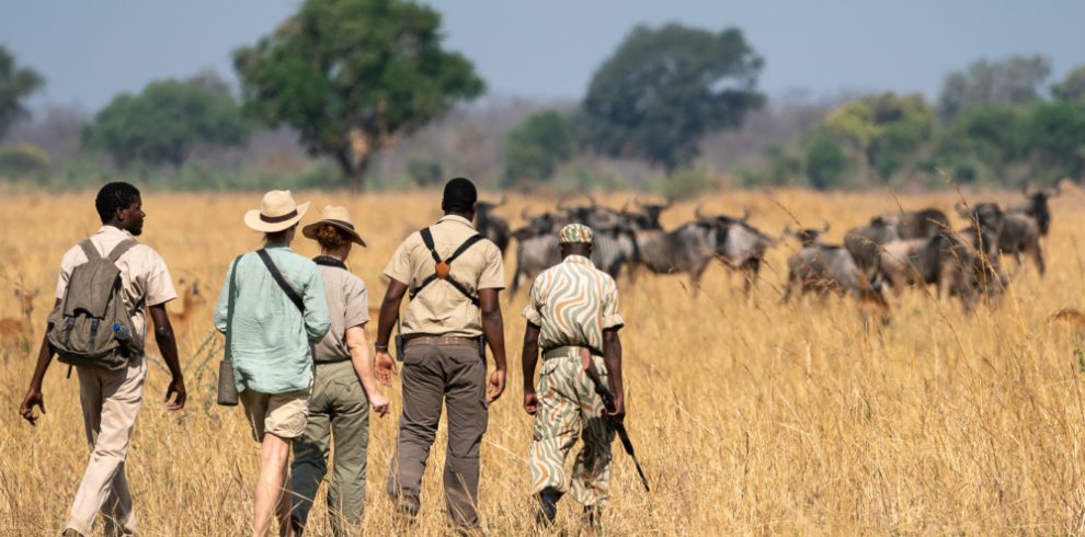 the mobile walking safari the mobile walking safari robin pope safaris 8 e1662996257444 1000x563 1 1 | Triptick Travels