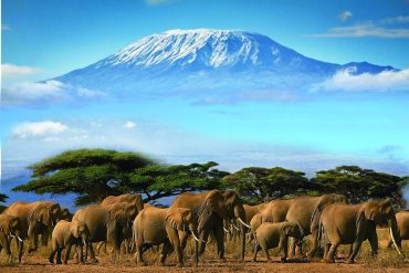 Mount Kilimanjaro