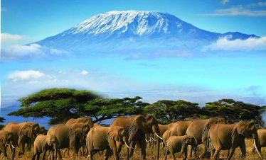 Mount Kilimanjaro