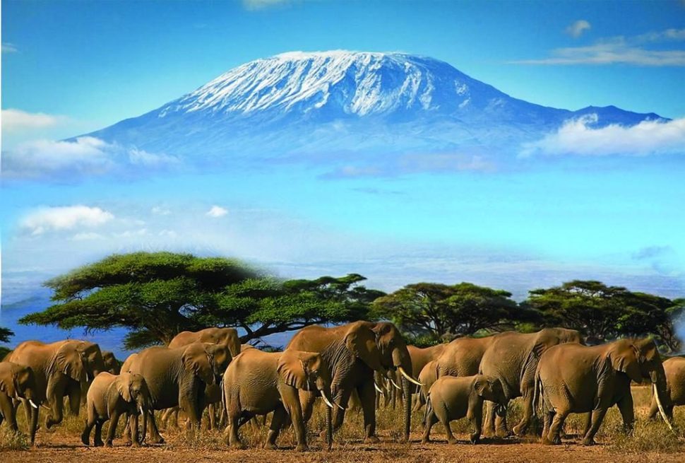 Mount Kilimanjaro