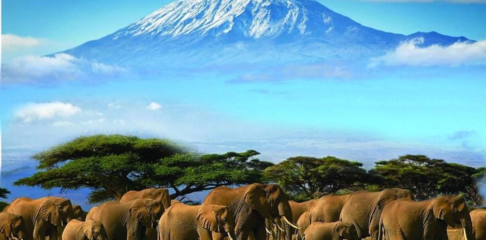 Mount Kilimanjaro
