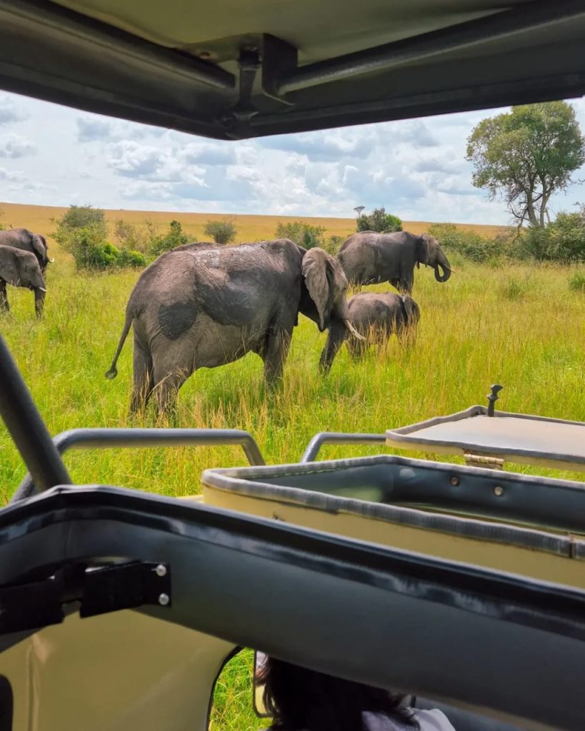 IMG 20250927 WA0031 | Triptick Travels