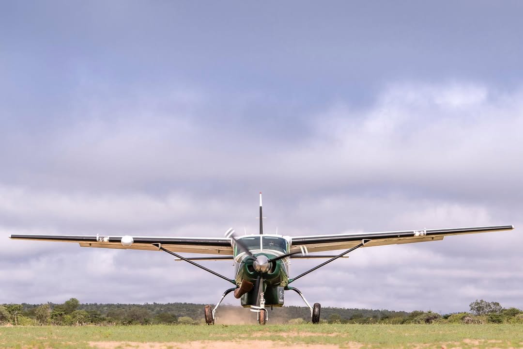 Masai Mara to Serengeti Safari Flights