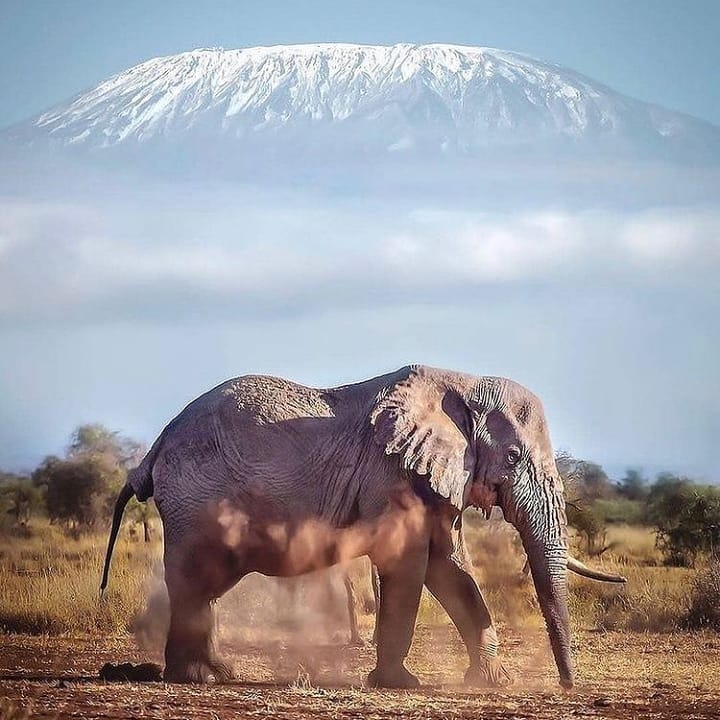 IMG 20250930 WA0085 | Triptick Travels