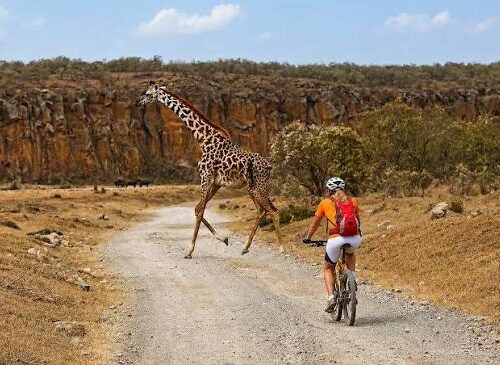 4 Days Soysambu Conservancy & Hell’s Gate – Wildlife, Lake Elmenteita & Rift Valley Adventure