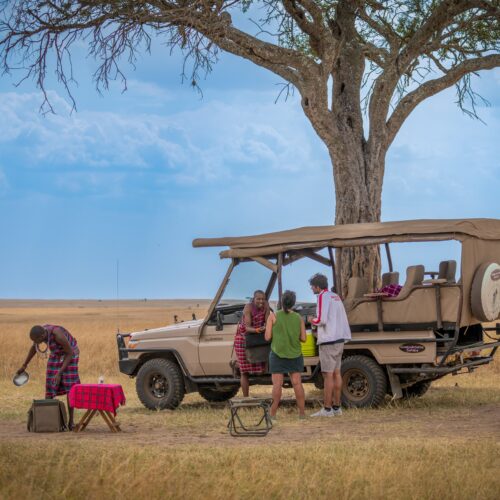 3 Days Naboisho Conservancy – Private Mara Wilderness